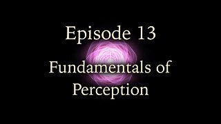 Episode 13 - Fundamentals of Perception