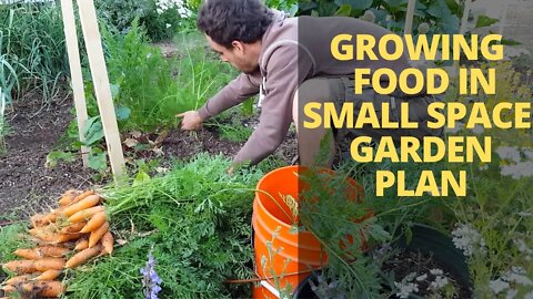 GROW MORE FOOD in LESS SPACE