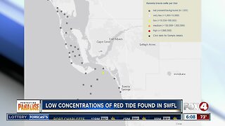 Some low red tide readings found in Southwest Florida waters