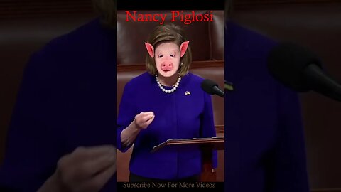 Nancy Piglosi Oink Oink