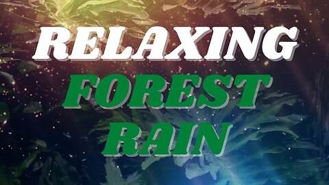 Relaxing Rain Forest Stream Sound for Sleeping | Relaxing Pinecone 1 hour