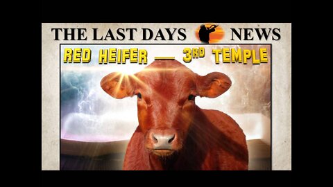 Is it Time to Rebuild the Third Temple?