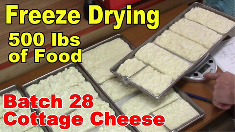 Freeze Drying Your First 500 lbs of Food - Batch 28 - Cottage Cheese