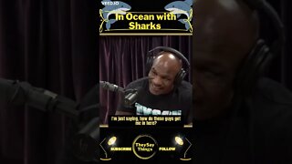 Mike Tyson, In Ocean with Sharks