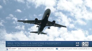 Will you need a vaccine passport to travel?