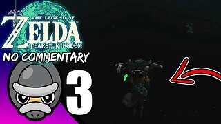 Part 3 // [No Commentary] Zelda: Tears of the Kingdom - Switch Gameplay