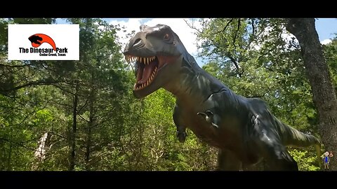 August 2019 while visiting the state of Texas, I visited The Dinosaur Park.