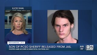 Son of PCSO Sheriff Lamb released from jail