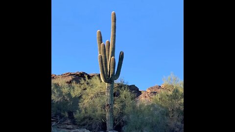 Arizona - Morning Hike on the Mormon Trail #bikes #bourbon #beyond #hike