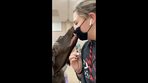 Dog rips muzzle off of human!