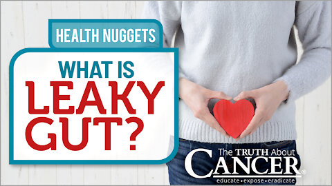 The Truth About Cancer: Health Nugget 20 - What Is Leaky Gut?