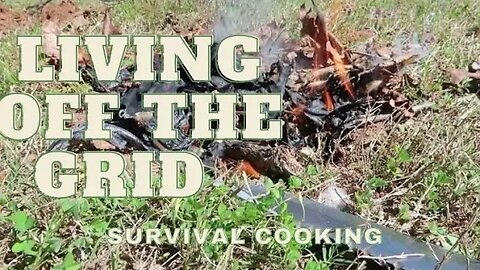 Living Off The Grid|Testing my survival skills…Outdoor Cooking