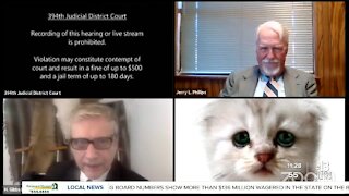 TRENDING | Texas lawyer shows up as cat on Zoom hearing