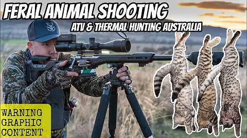 BEST Feral Cat Hunt of My Life! Day and Night with a Vertebrate Pest Controller - Pig & Fox Shooting