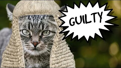 British man convicted for CAT CALLING 😘💋