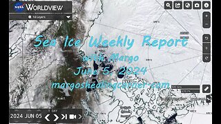 Sea Ice Weekly Report with Margo (June 5, 2024)