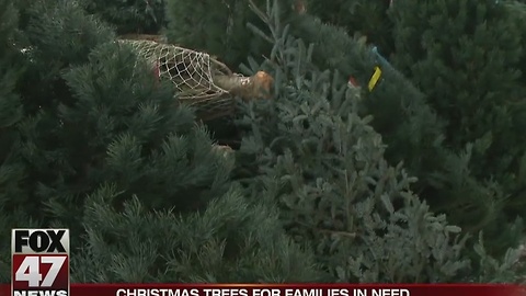 Lansing Gardens give Christmas trees to families in need