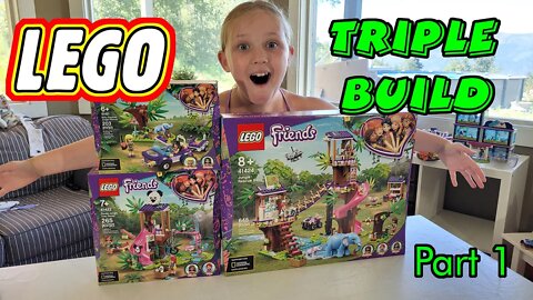 3 LEGO Friends builds crushed in under a day