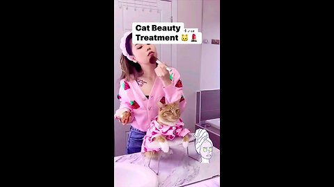 Cat Beauty Treatment