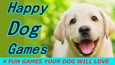 Fun Games To Play With Your Dog