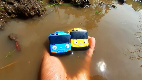 Mencari dan Menemukan Mainan Bus Tayo, Lani, Gani, Rogi dan Mainan Mobil Mobilan di Sawah Berlumpur