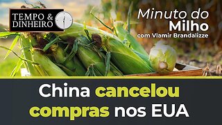 China cancelou compras de Milho nos EUA