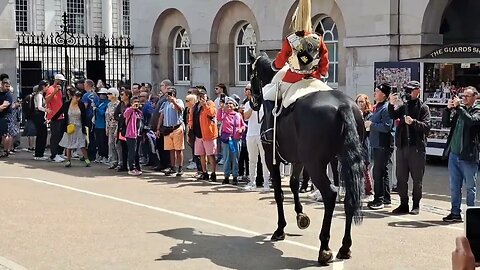 Horse not do ready for the change over #horseguardsparade