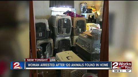 More than 120 animals found in dog trainer's home