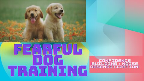 Confidence Building Part 1 of 5: Noise Desensitization ! Fearful Dog Training