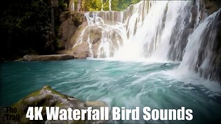 Ambient Waterfall Bird Sounds - Kanchanaburi Thailand | (AI) Style Realistic | Morning