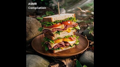 The PERFECT Sandwich ASMR Compilationg Cooking in Nature