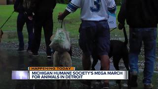 Mega March For Animals