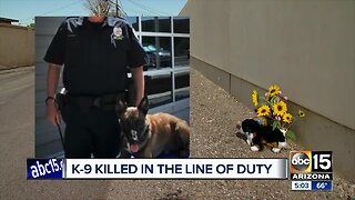 El Mirage police K-9 shot, killed by suspect during officer-involved shooting