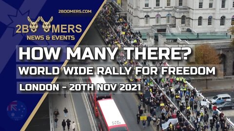 HOW MANY AT THE WORLD WIDE RALLY FOR FREEDOM LONDON ON 20TH NOVEMBER 2021