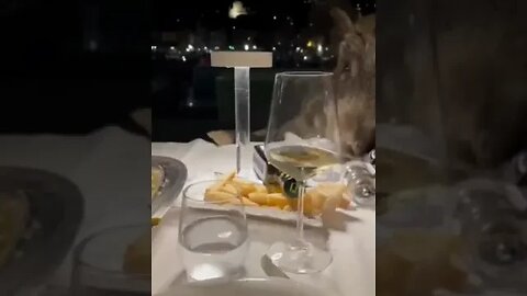 Pigs take over a restaurant