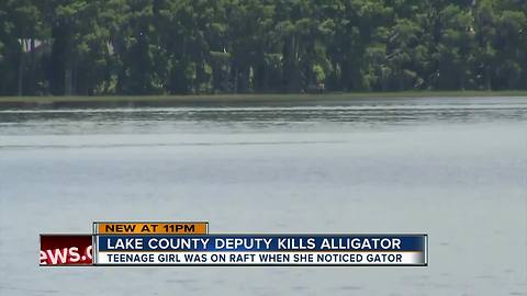 Florida teen chased up tree by alligator saved by hero deputy