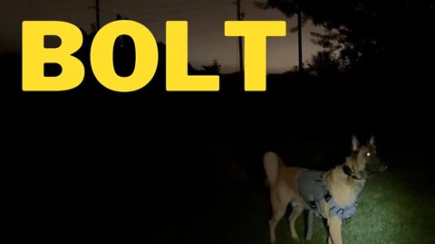 Bolt Night Fetch!