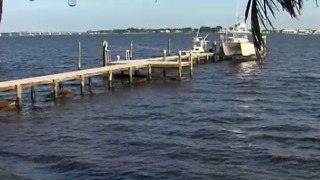 Gov. Scott directs Florida Department of Environmental Protection to curb algae blooms