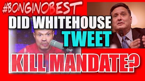 BONGINO! Did White House TWEET Kill Mask Mandate by Ron Klain Biden Press Conference