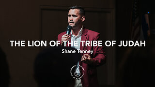 The Lion of the Tribe of Judah | Shane Tenney [November 4th, 2023]