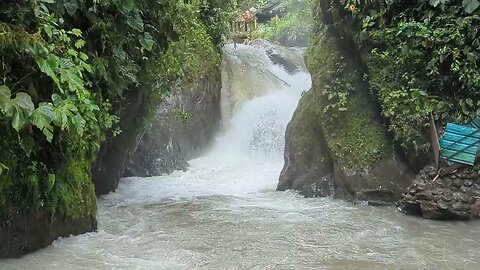 Nambillo Waterfall In Mindo, Ecuador 2023 Video 8