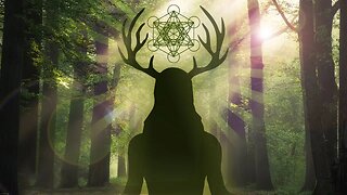 The Wild God Transmission: Embracing the Shaman, Warrior, Lover, Sage.