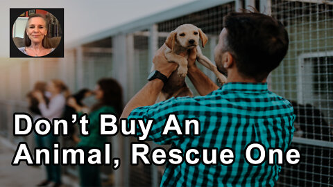 You Never Want To Buy An Animal, But You Can Rescue - Hope Bohanec - Interview