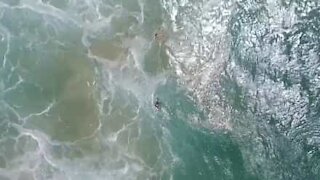 Drone salva giovani dall'annegamento