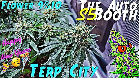 The Auto Booth S5 Ep. 6 | Weeks 9 & 10 | Terp City | Happy New Years 🎉🥳🎊