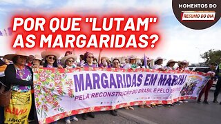 Por que "lutam" as margaridas? | Momentos do Resumo do Dia