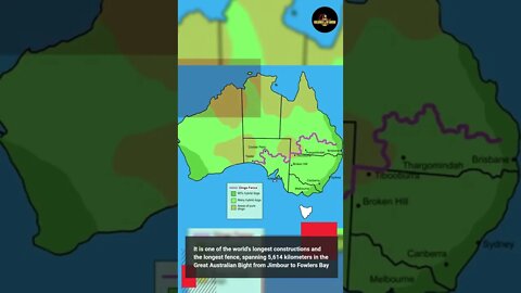 Quick Facts About Australia's Dingo Fence - #shorts #dingofence #australia