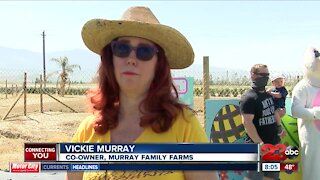 Murray Family Farm Easter surprise