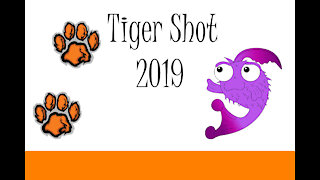 Tiger Shot 2019