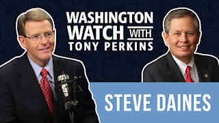 Sen. Steve Daines Discusses How President Biden Has Handled America's Borders